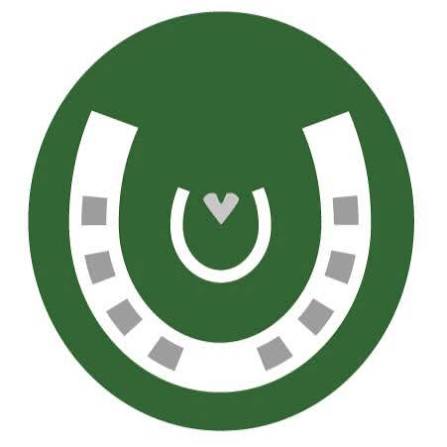 bhf-icon