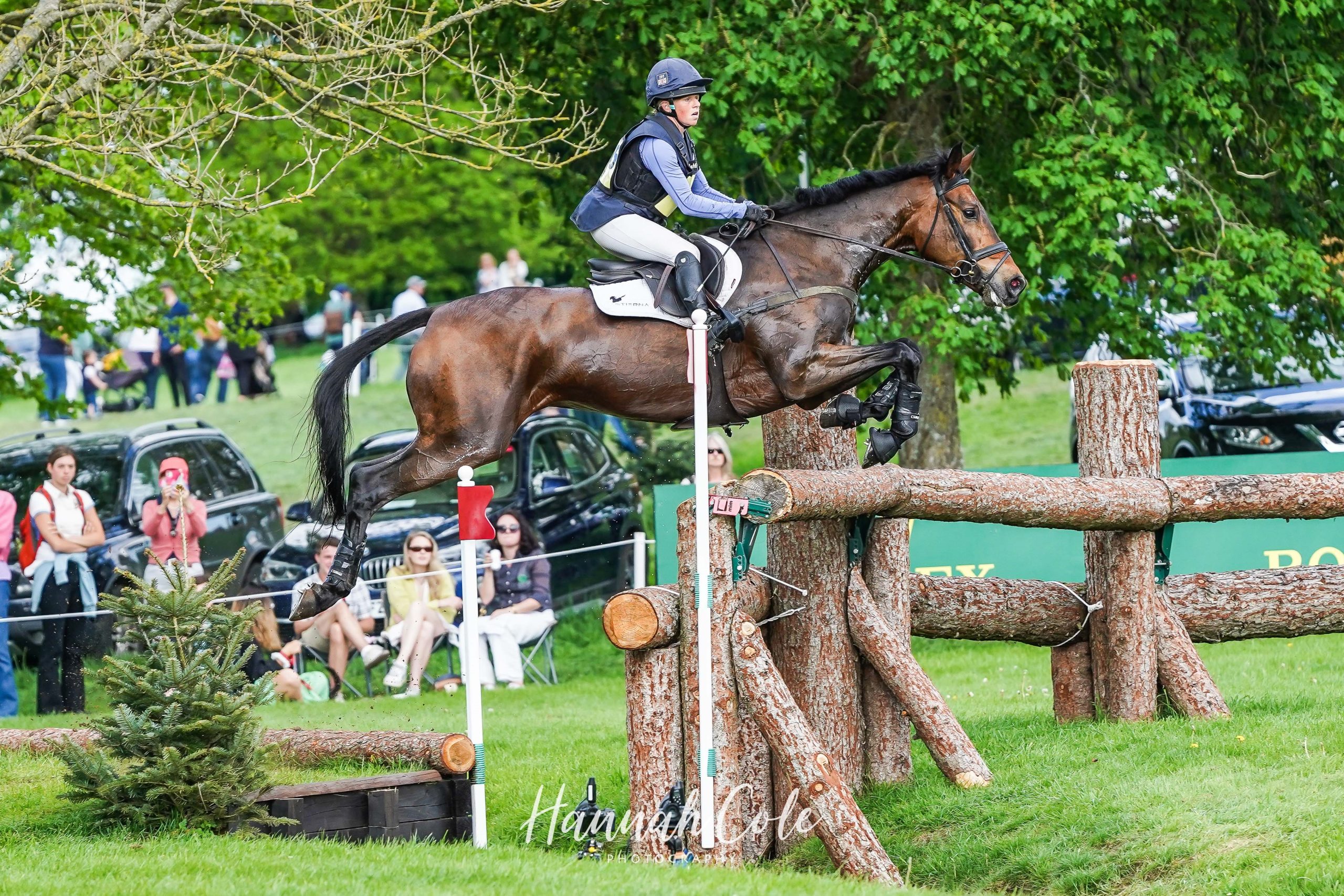Badminton 5 star best British Bred Badminton 5 star best British Bred