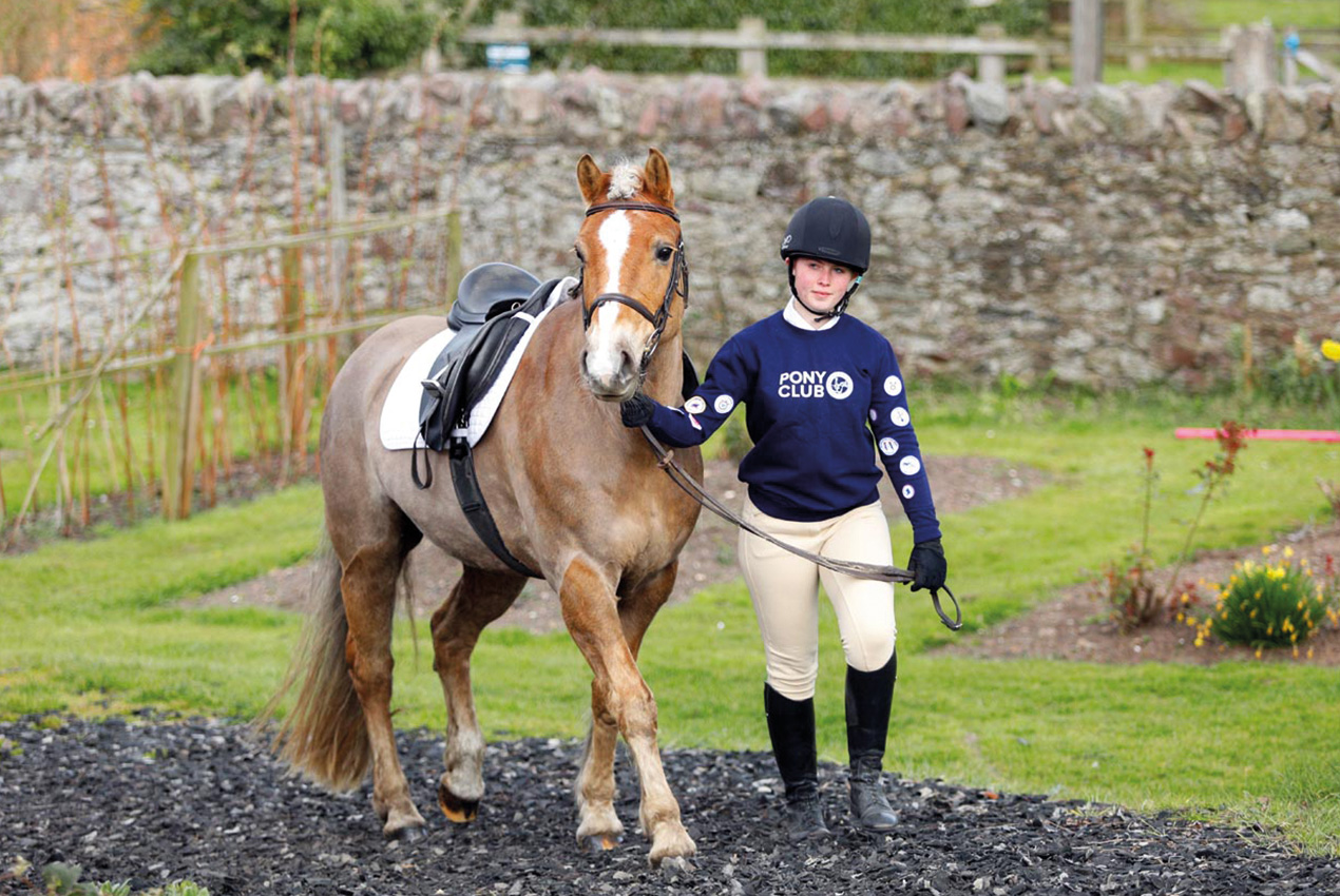 bhf-the-pony-club