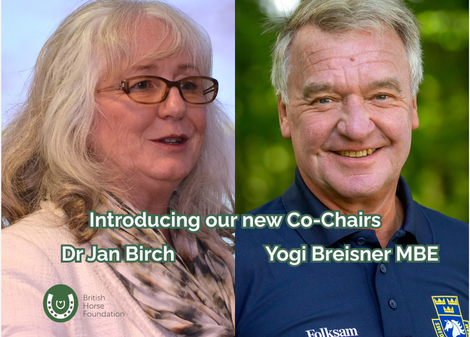 2025 Co-Chairs