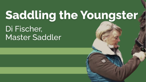 Saddling the Youngster - Di Fischer Saddling the Youngster - Di Fischer