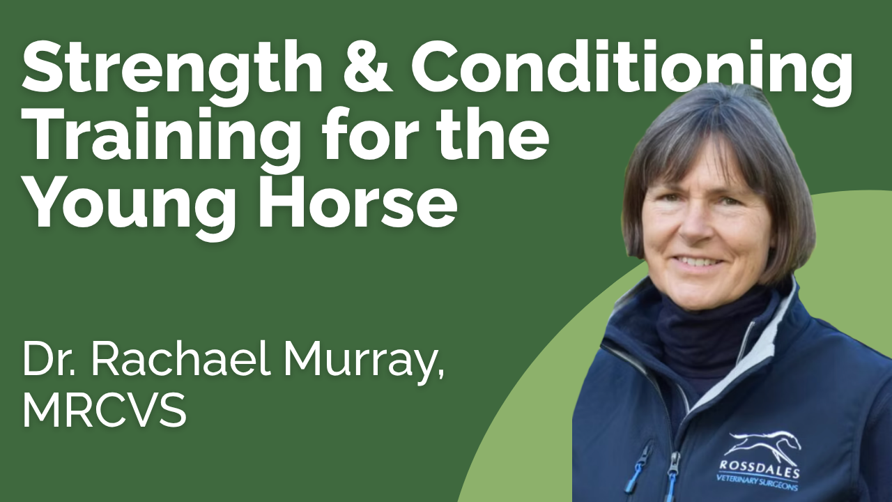 Strength and Conditioning Training for the Young Horse - Dr Rachael Murray Strength and Conditioning Training for the Young Horse - Dr Rachael Murray