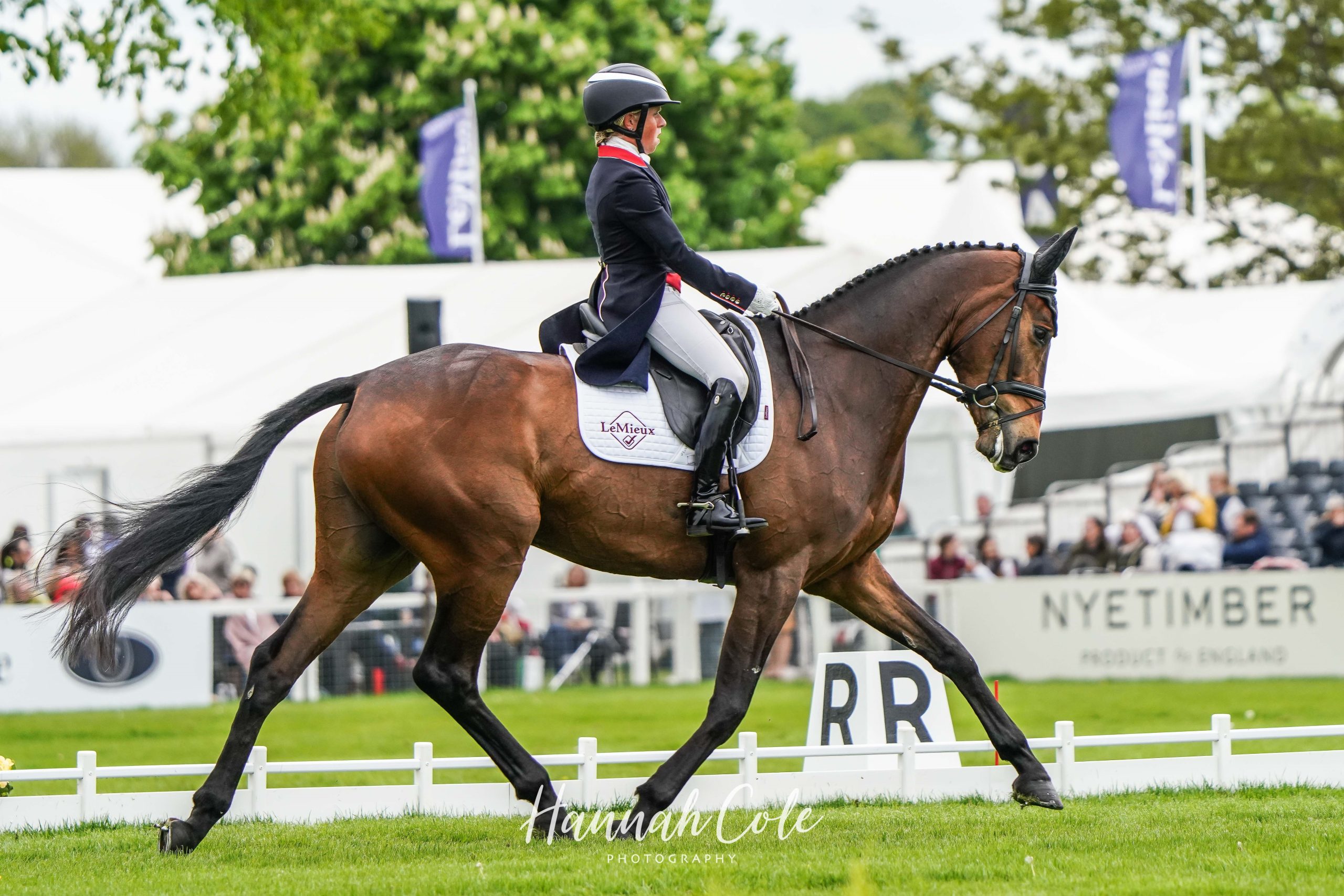 Badminton 5 star best british bred 2022 picture 2 Badminton 5 star best british bred 2022 picture 2