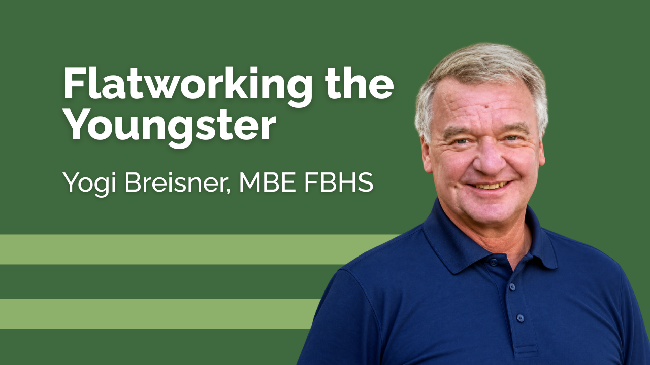 Flatworking the Youngster - BHF