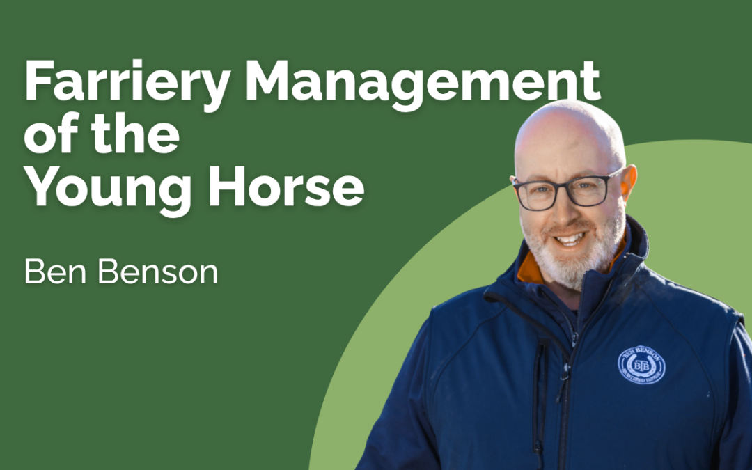Farriery Management of the Young Horse - Ben Benson