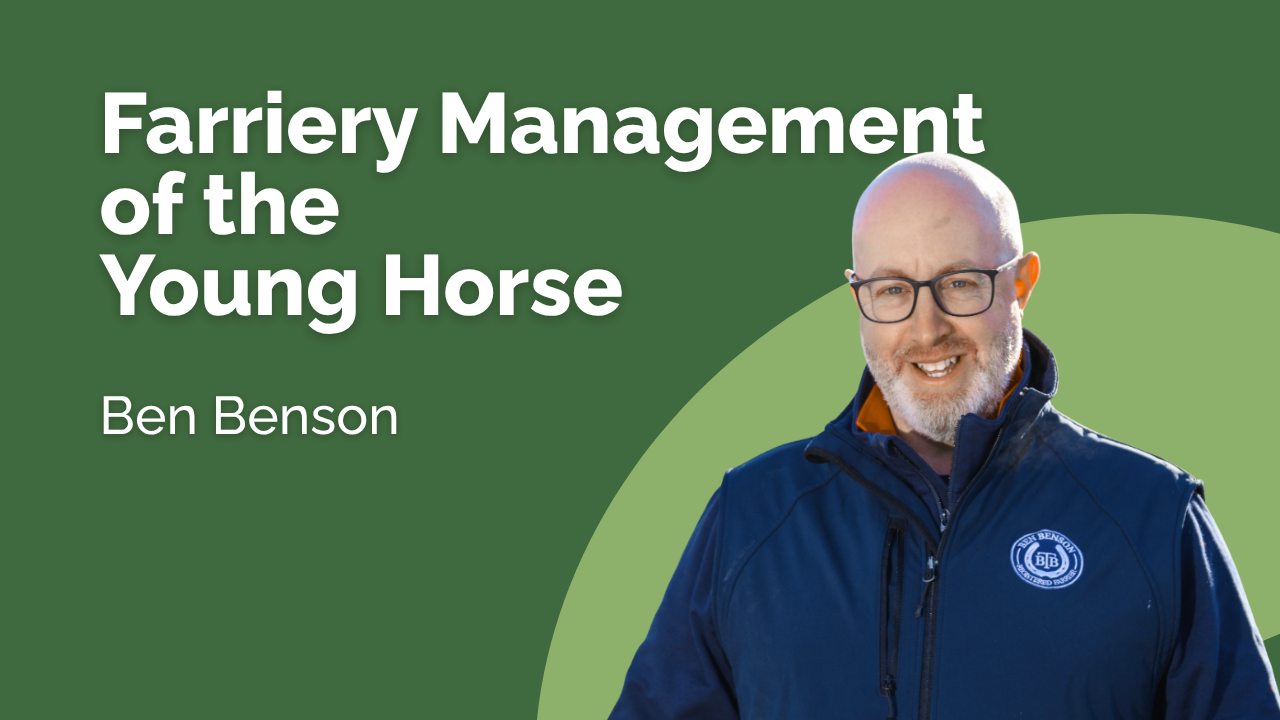 Farriery Management of the Young Horse - Ben Benson