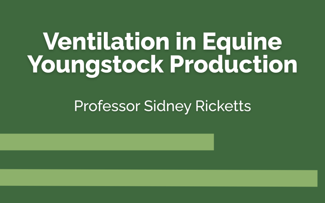 Ventilation in Equine Youngstock Production - Prof Sidney Ricketts