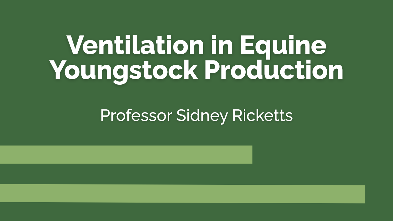 Ventilation in Equine Youngstock Production - Prof Sidney Ricketts