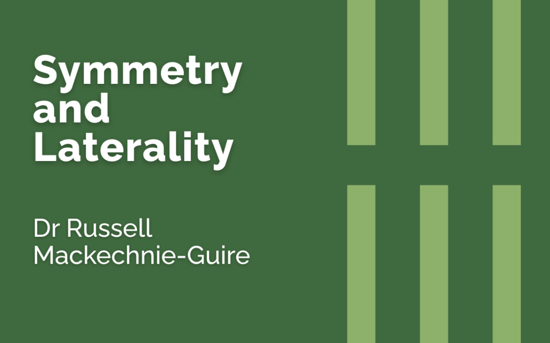 Symmetry and Laterality