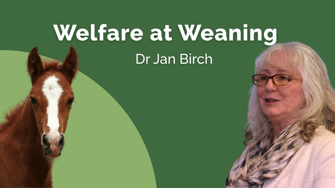 Welfare at Weaning - Dr Jan Birch
