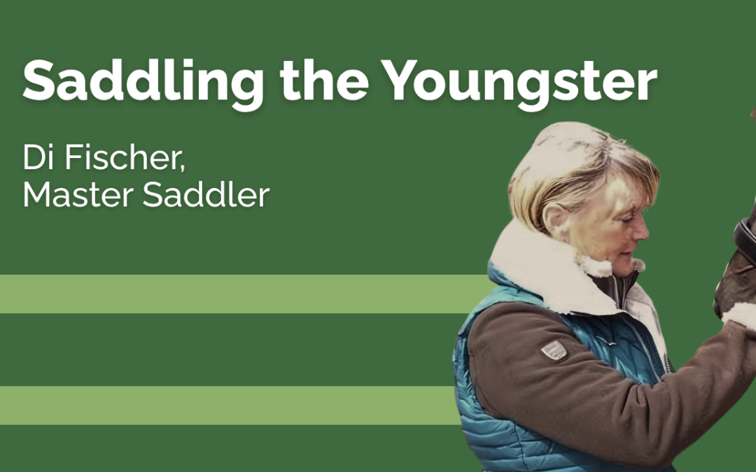 Saddling the Youngster - Di Fischer