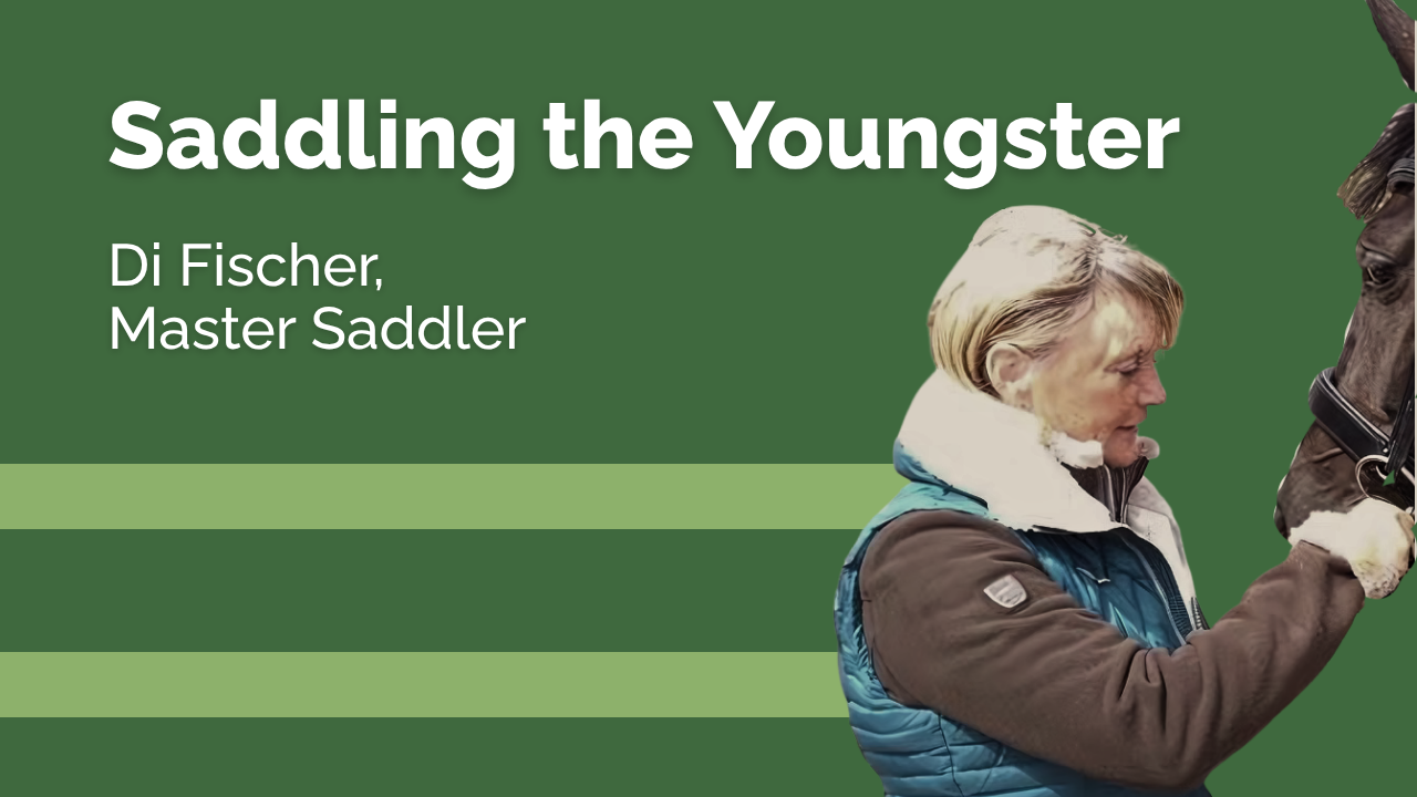 Saddling the Youngster - Di Fischer