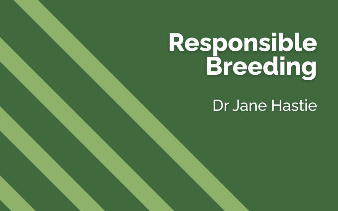 Responsible Breeding - BHF