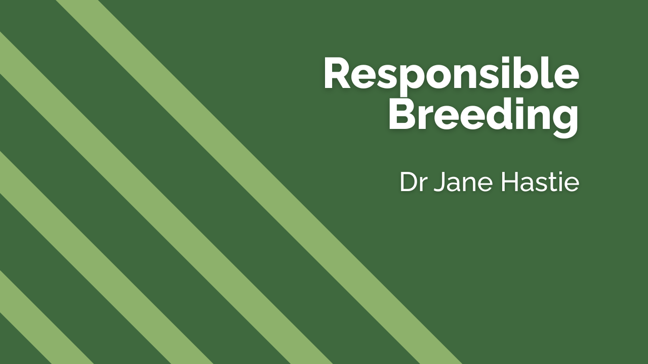 Responsible Breeding - BHF