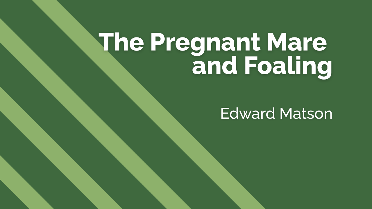 The Pregnant Mare and Foaling