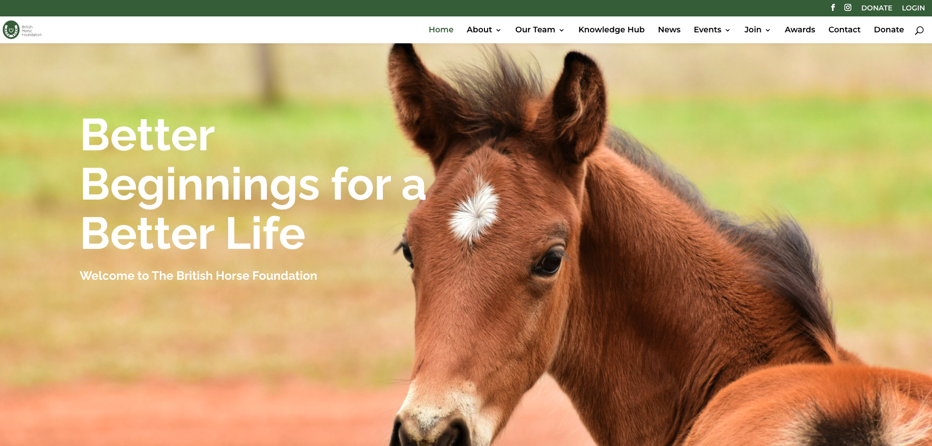 New BHF Website Launched