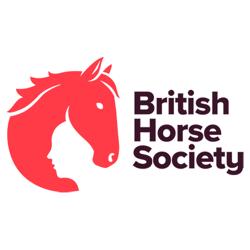 bhs-primary-logo-colour-copy-30-border