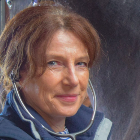 sarah stoneham