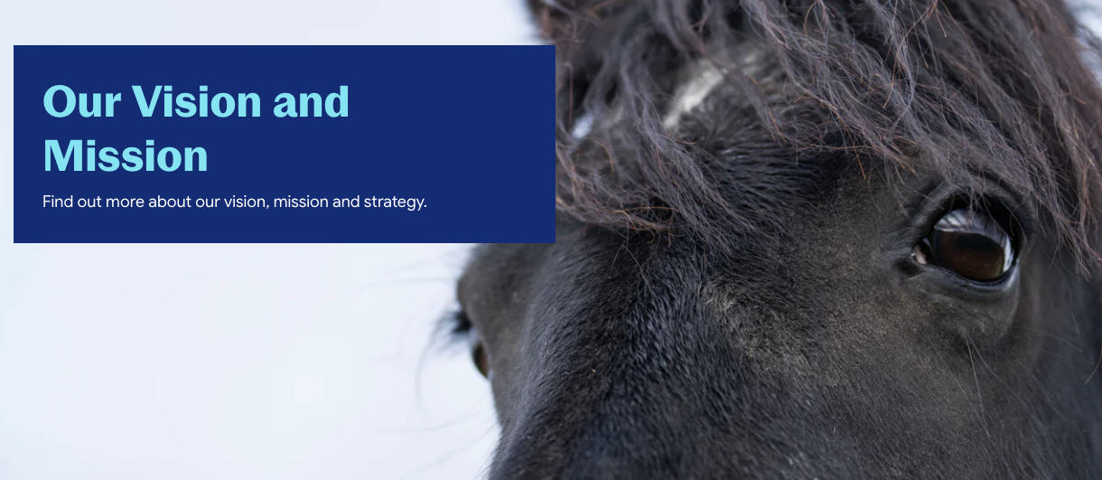 world-horse-welfare-website